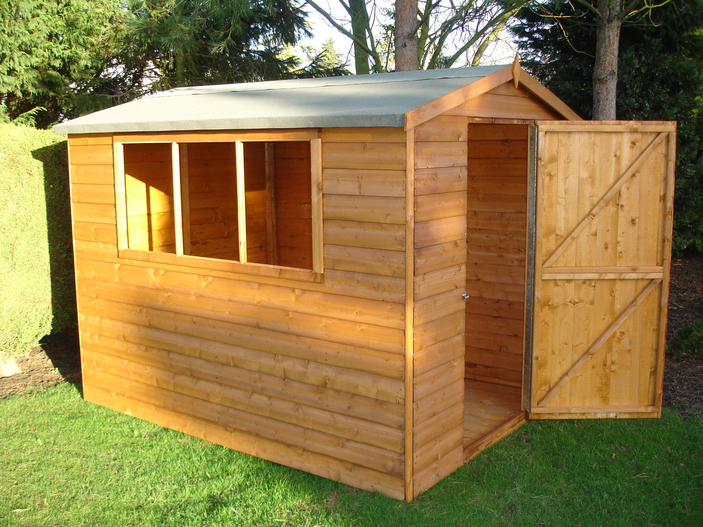 Shire Lewis 8x6 Single Door Shiplap