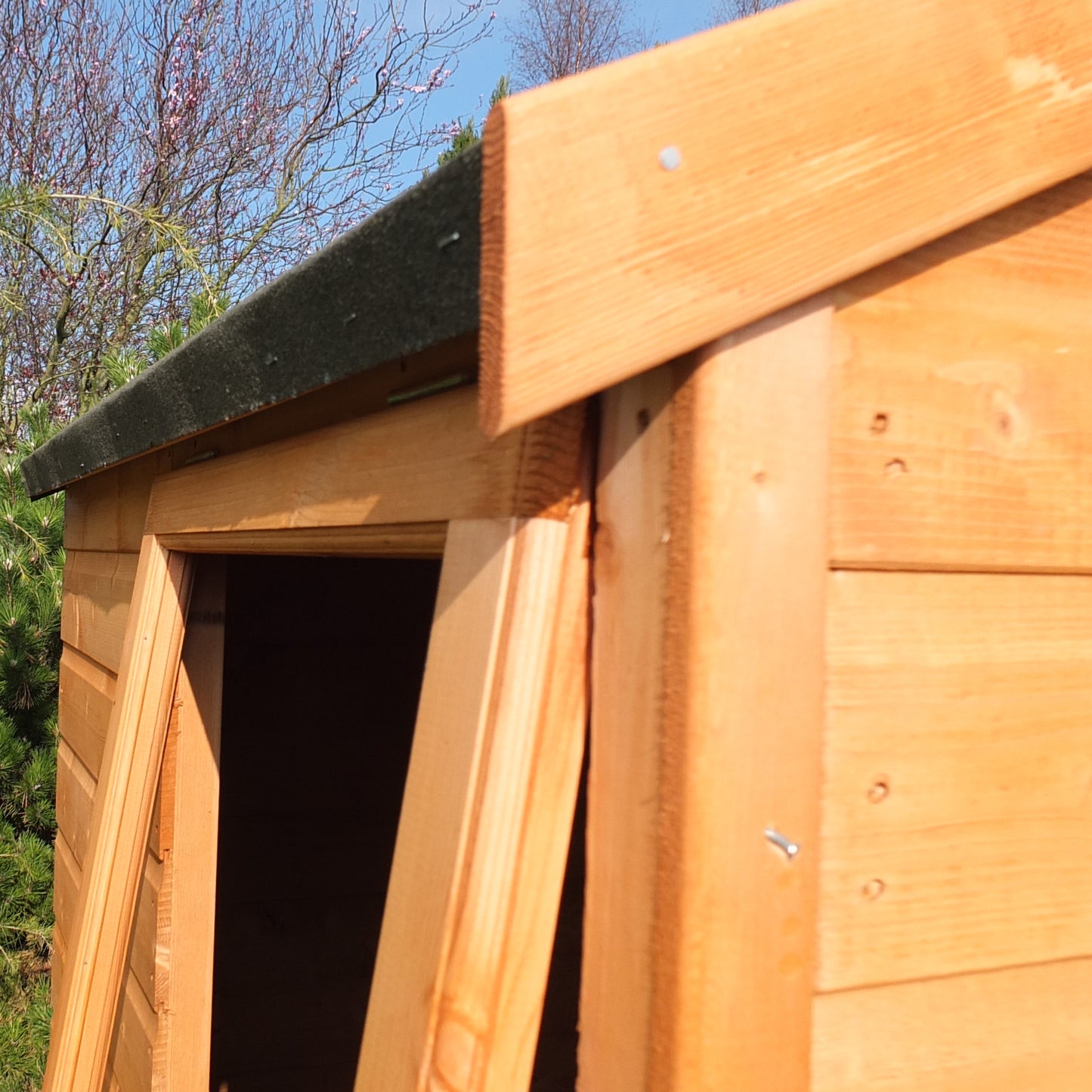 Shire Bute Shiplap Apex Double Door 4x6