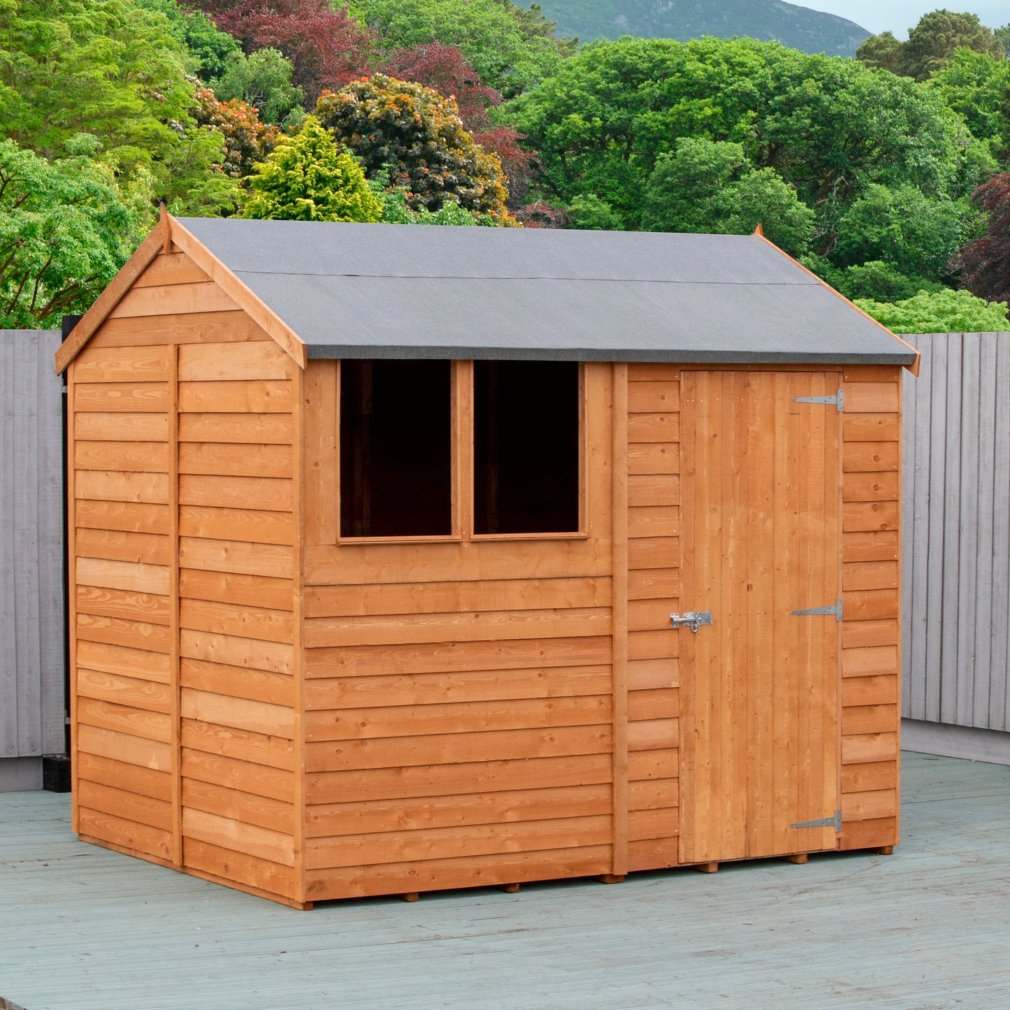 Shire Overlap 8x6 Single Door Reverse Apex Amaryllis 8x6