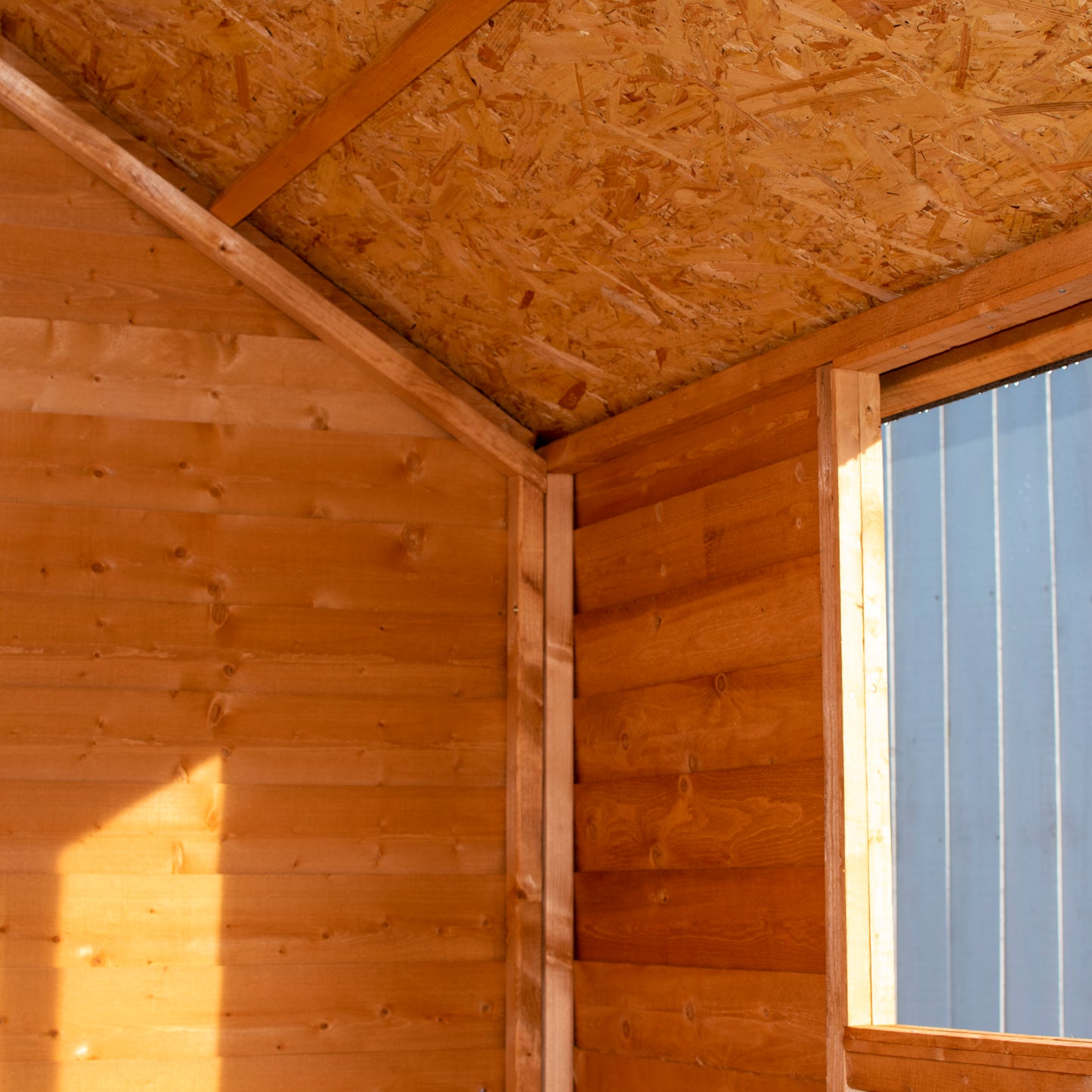 Shire Overlap 8x6 Single Door Value with Window