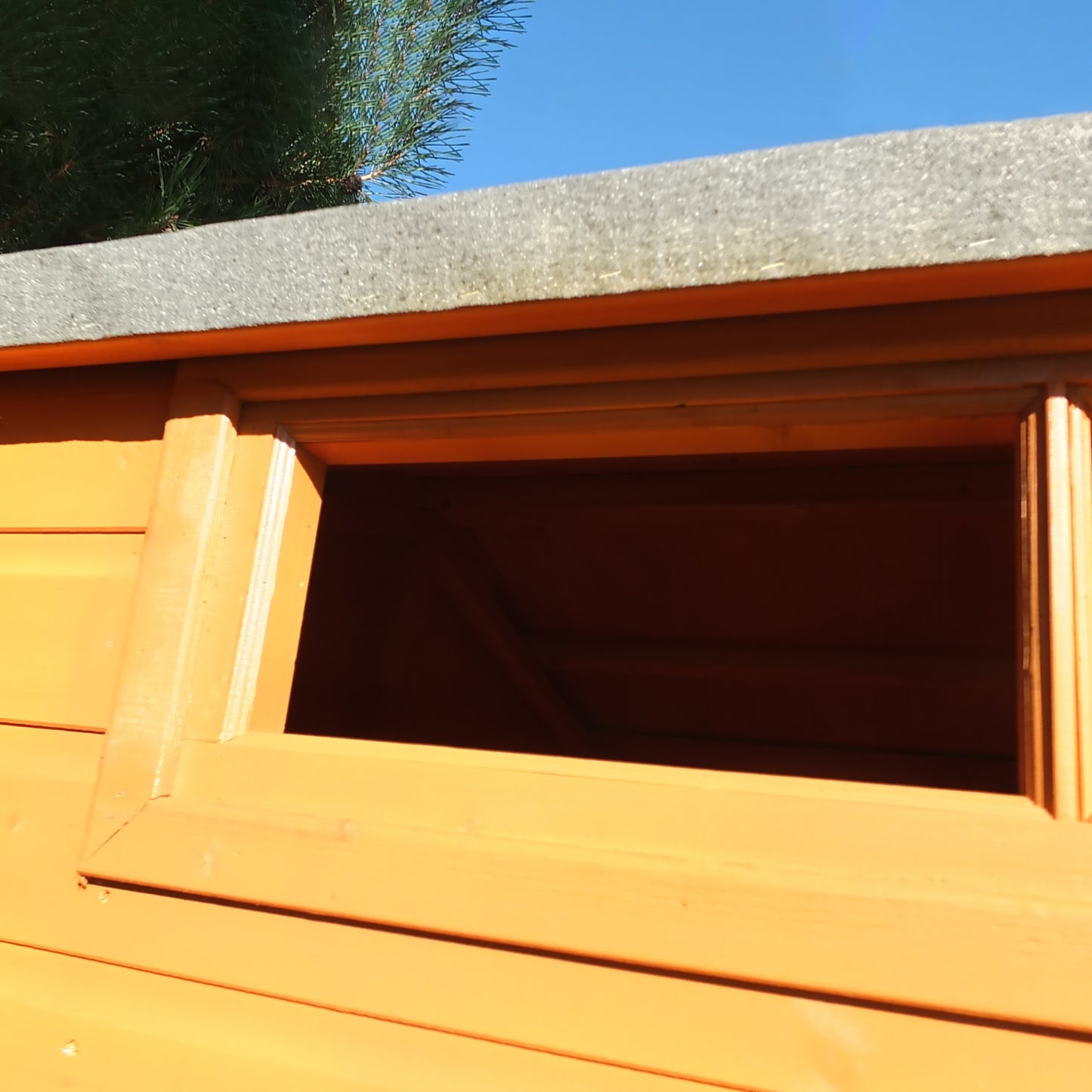 Shire Security Apex 10x6 Single Door Shiplap