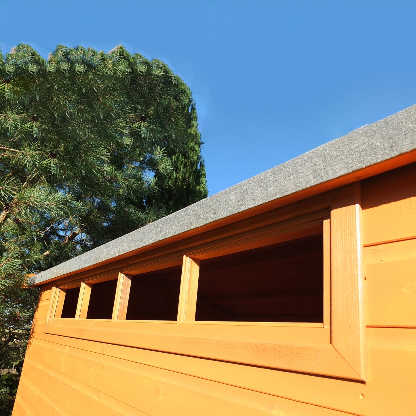 Shire Security Apex 8x6 Single Door Shiplap