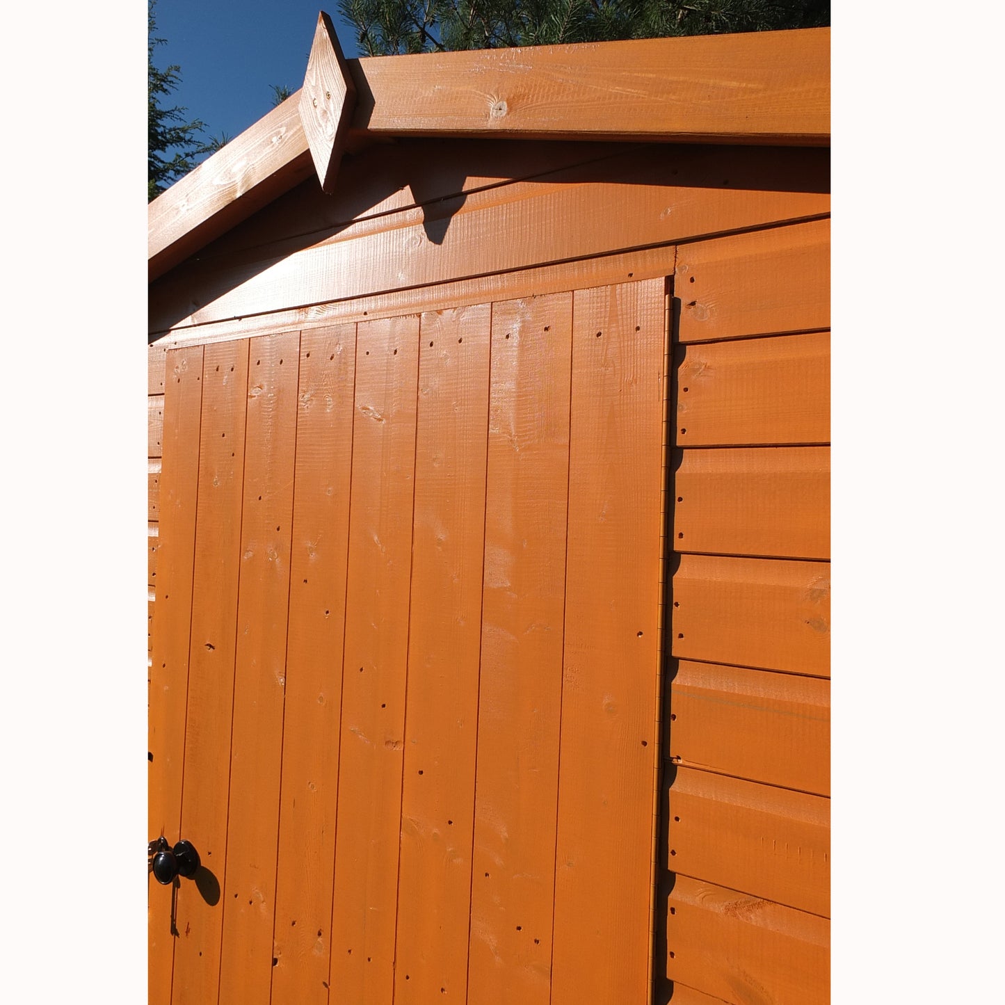 Shire Security Apex 8x6 Single Door Shiplap