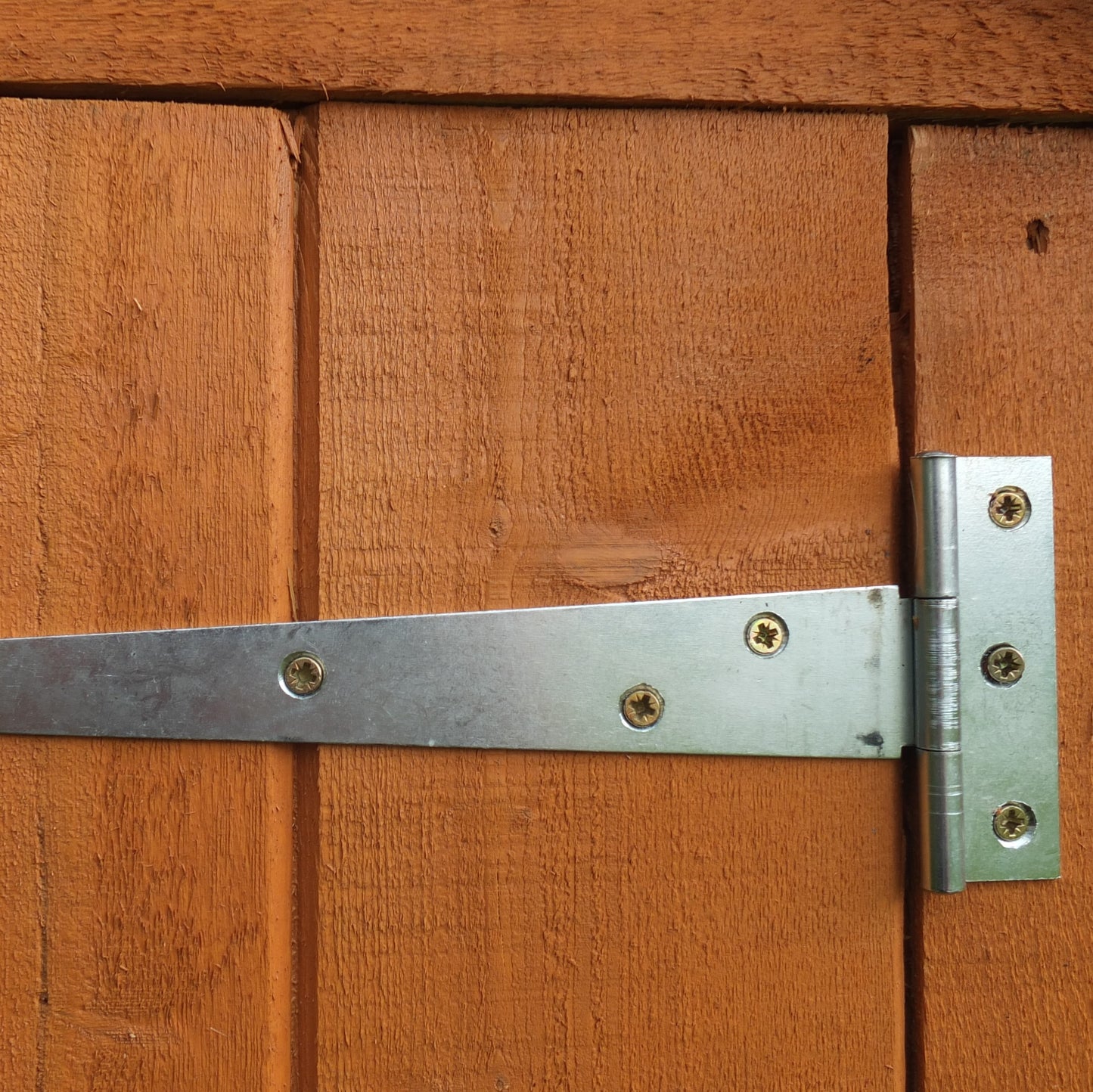 Shire Overlap Double Door 12x6 D/D