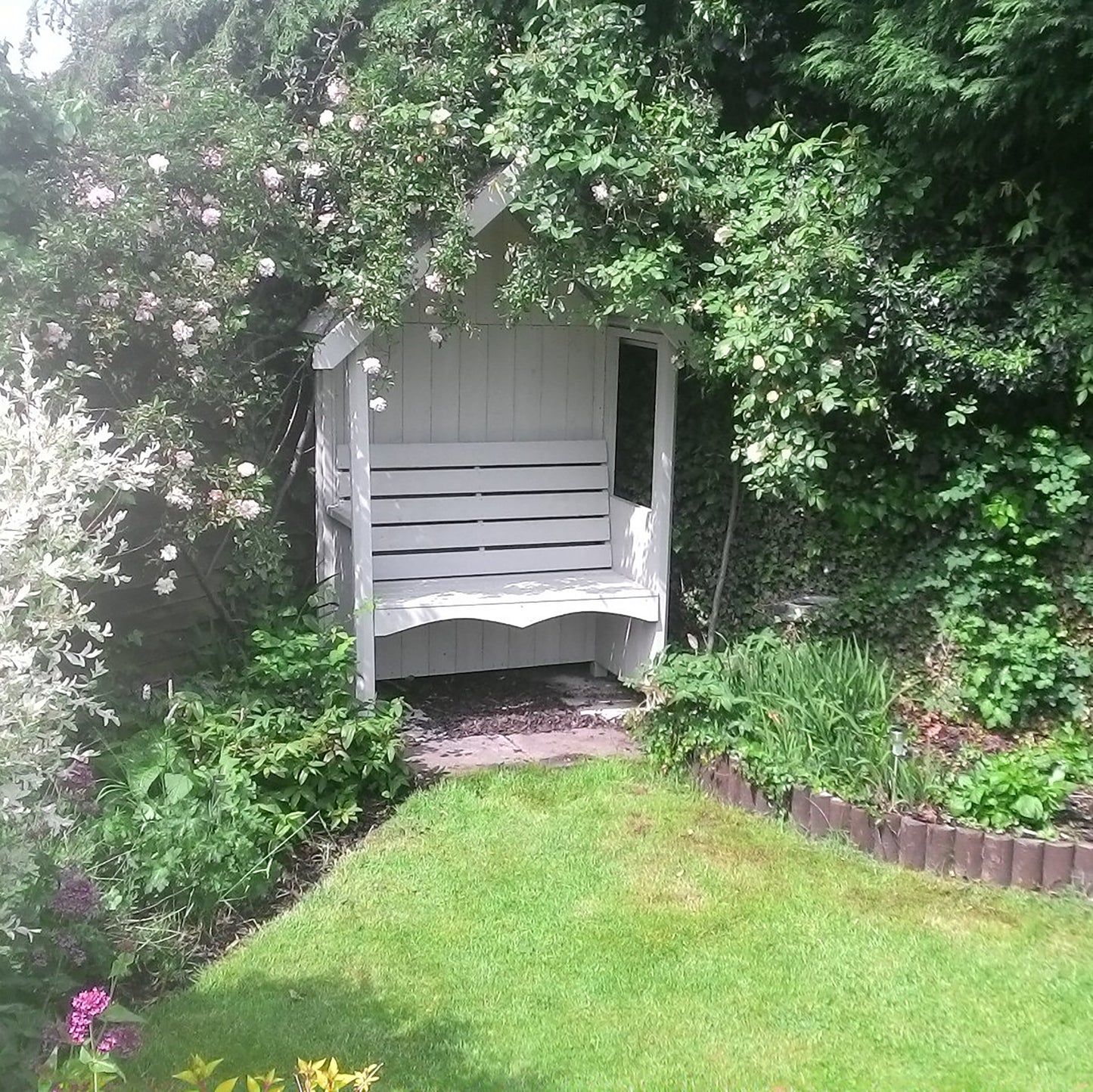 Shire Forget Me Not Pressure treated
