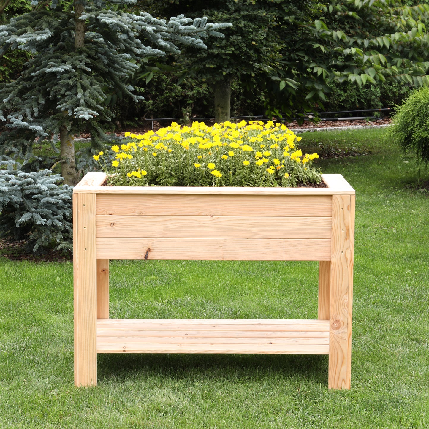 Shire Dan Larch Planter