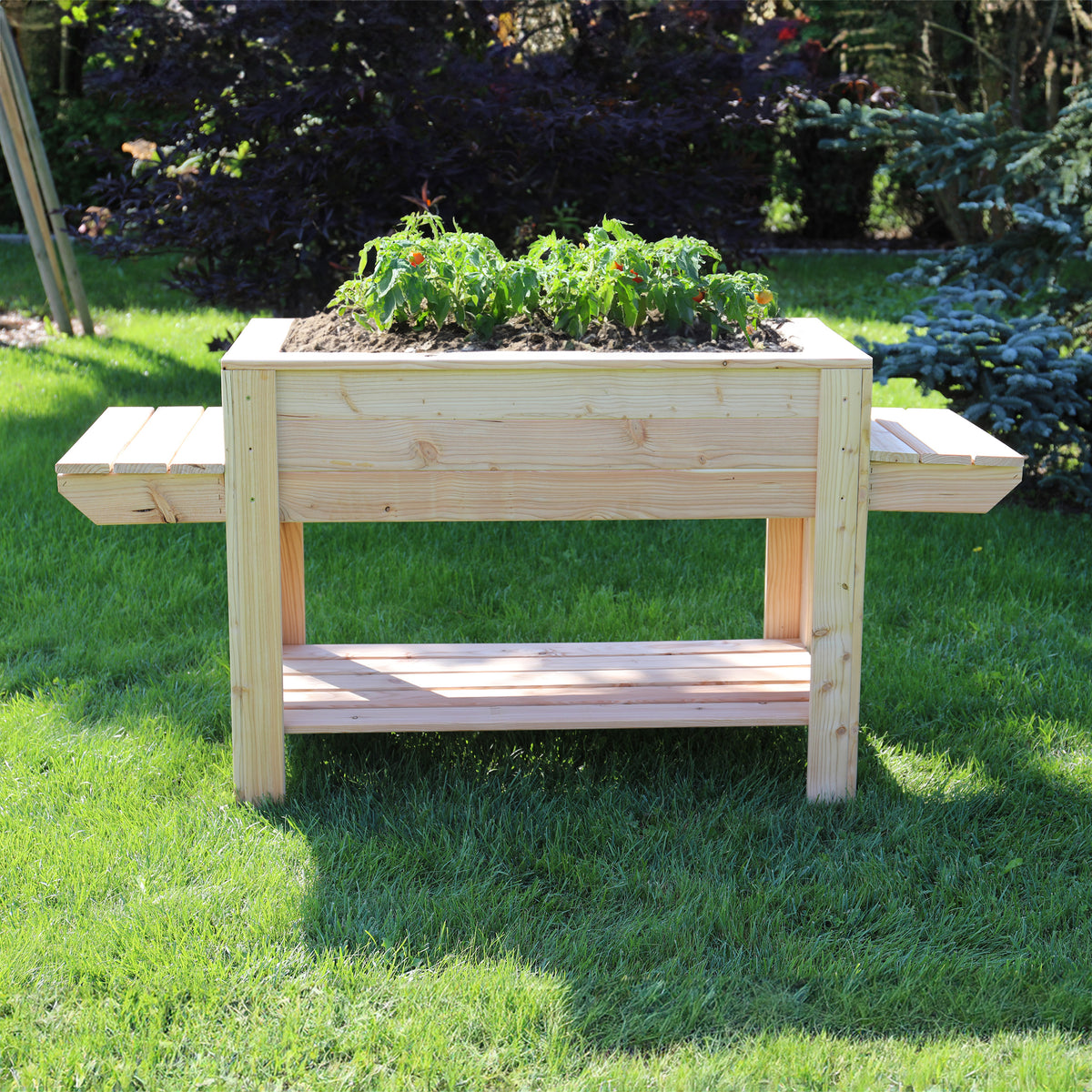 Shire Ron Larch Planter