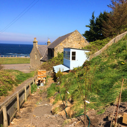 Shire Sun Pent 8x6