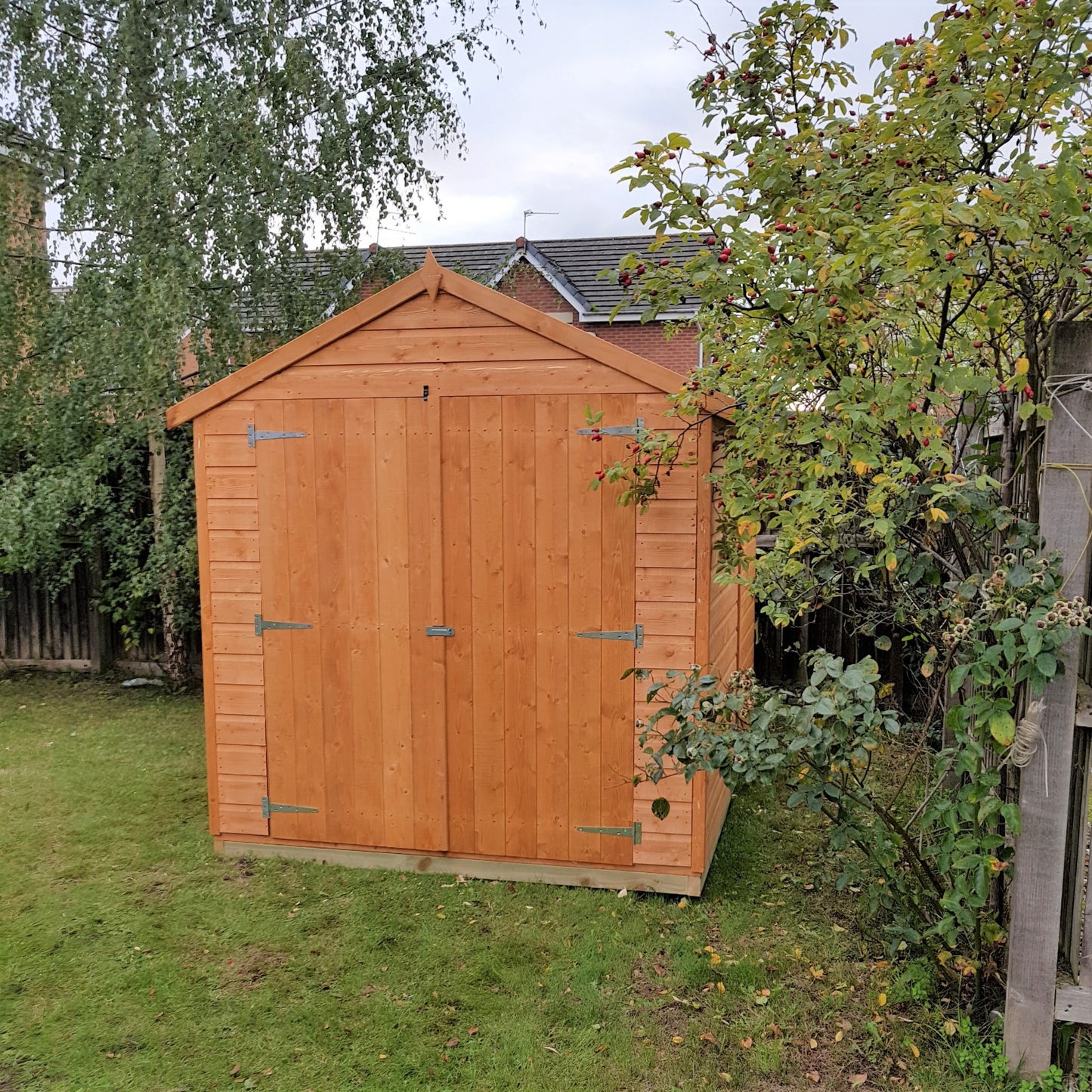 Shire Warwick DD 8x6