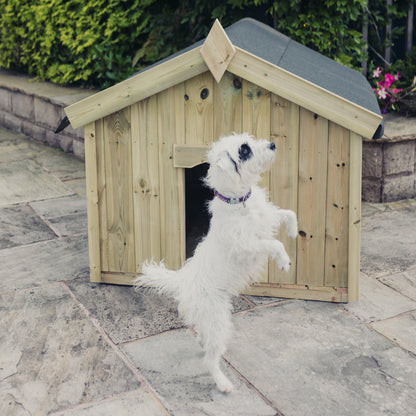 Churnet Valley Apex Dog Kennel - Xl - W120Cm X D135Cm