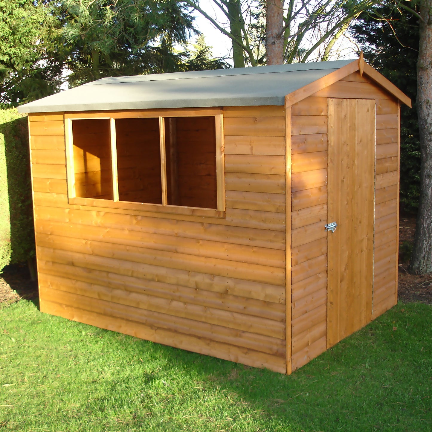 Shire Lewis 8x6 Single Door Shiplap