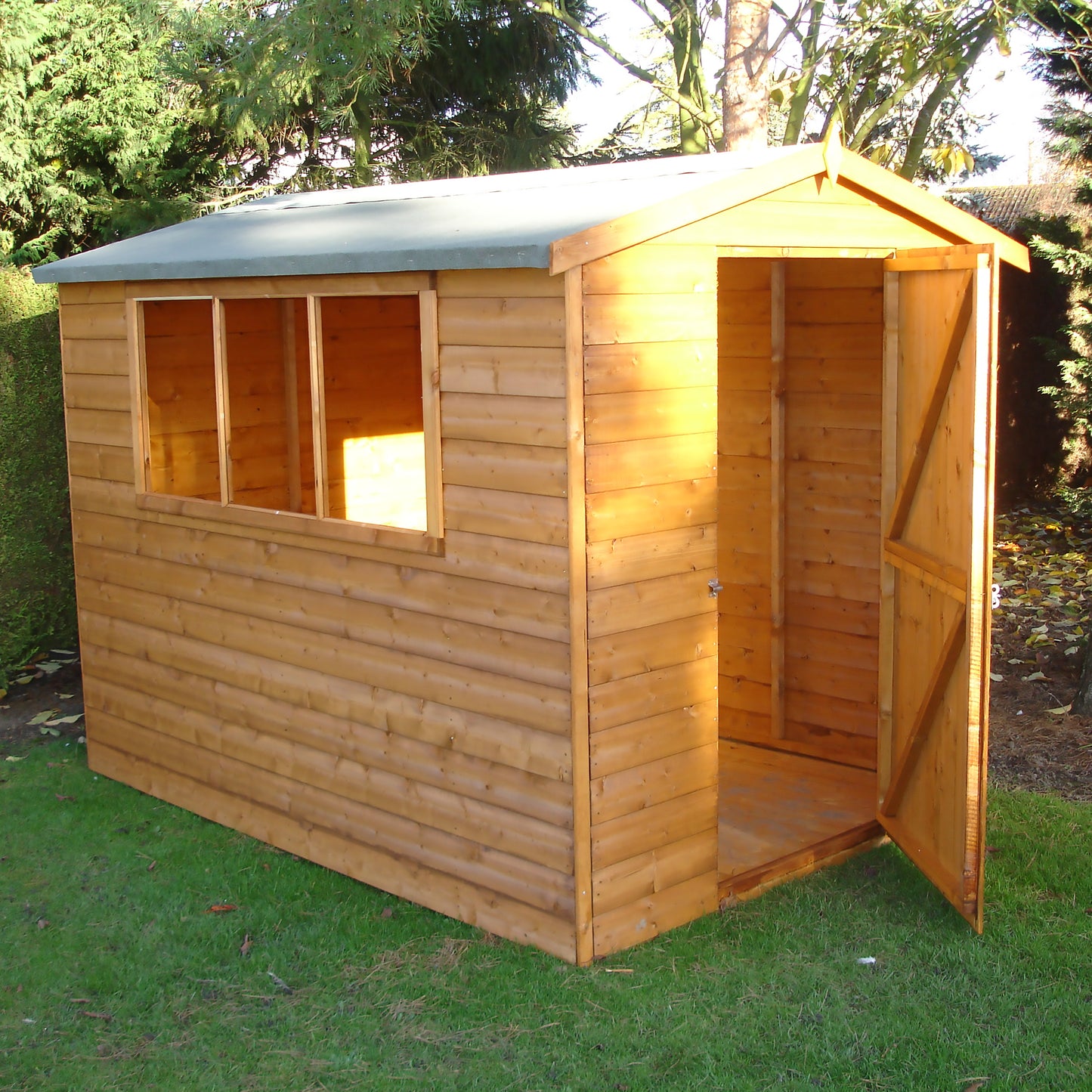 Shire Lewis 8x6 Single Door Shiplap