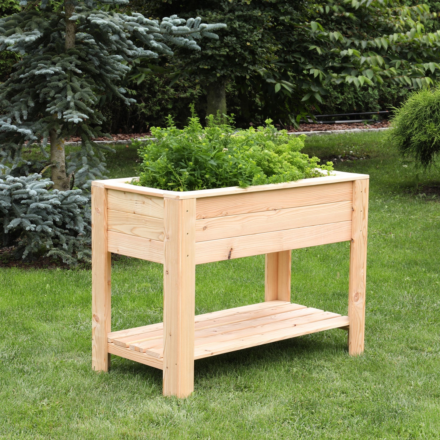 Shire Dan Larch Planter