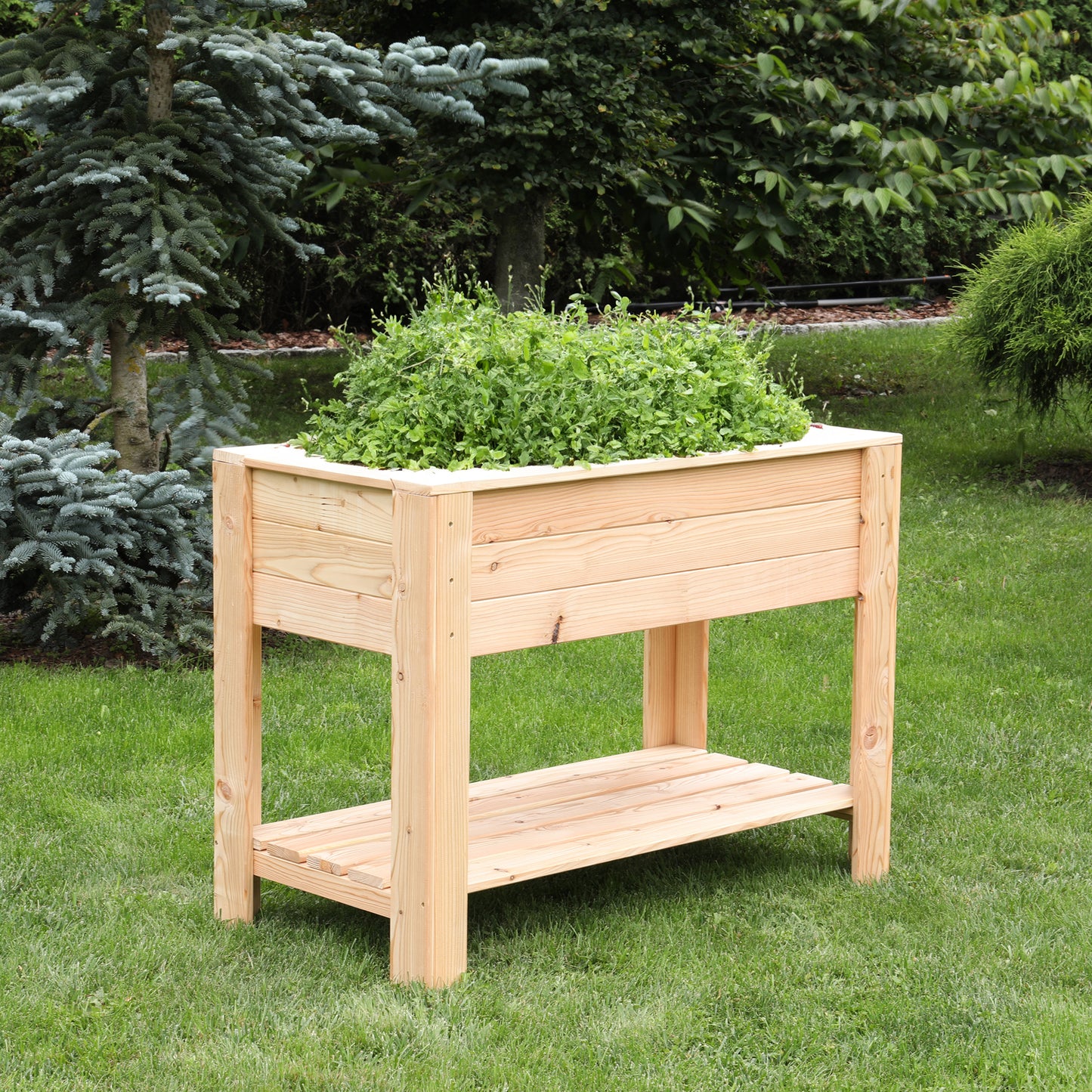 Shire Dan Larch Planter