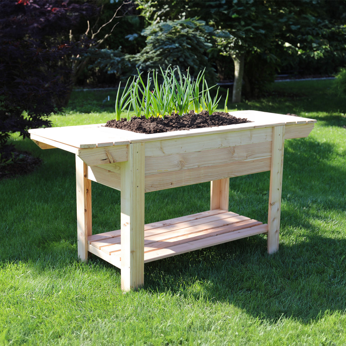 Shire Ron Larch Planter