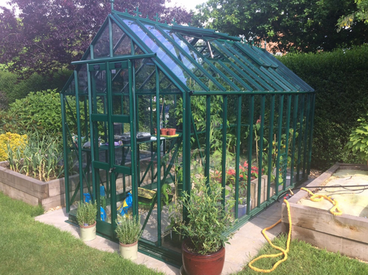 Elite Thyme 6 6ft x 4ft Greenhouse