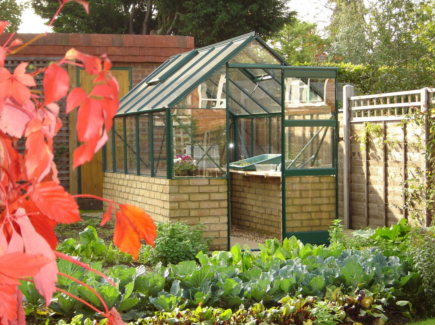 Elite Dwarf Wall 6ft x 8ft Greenhouse