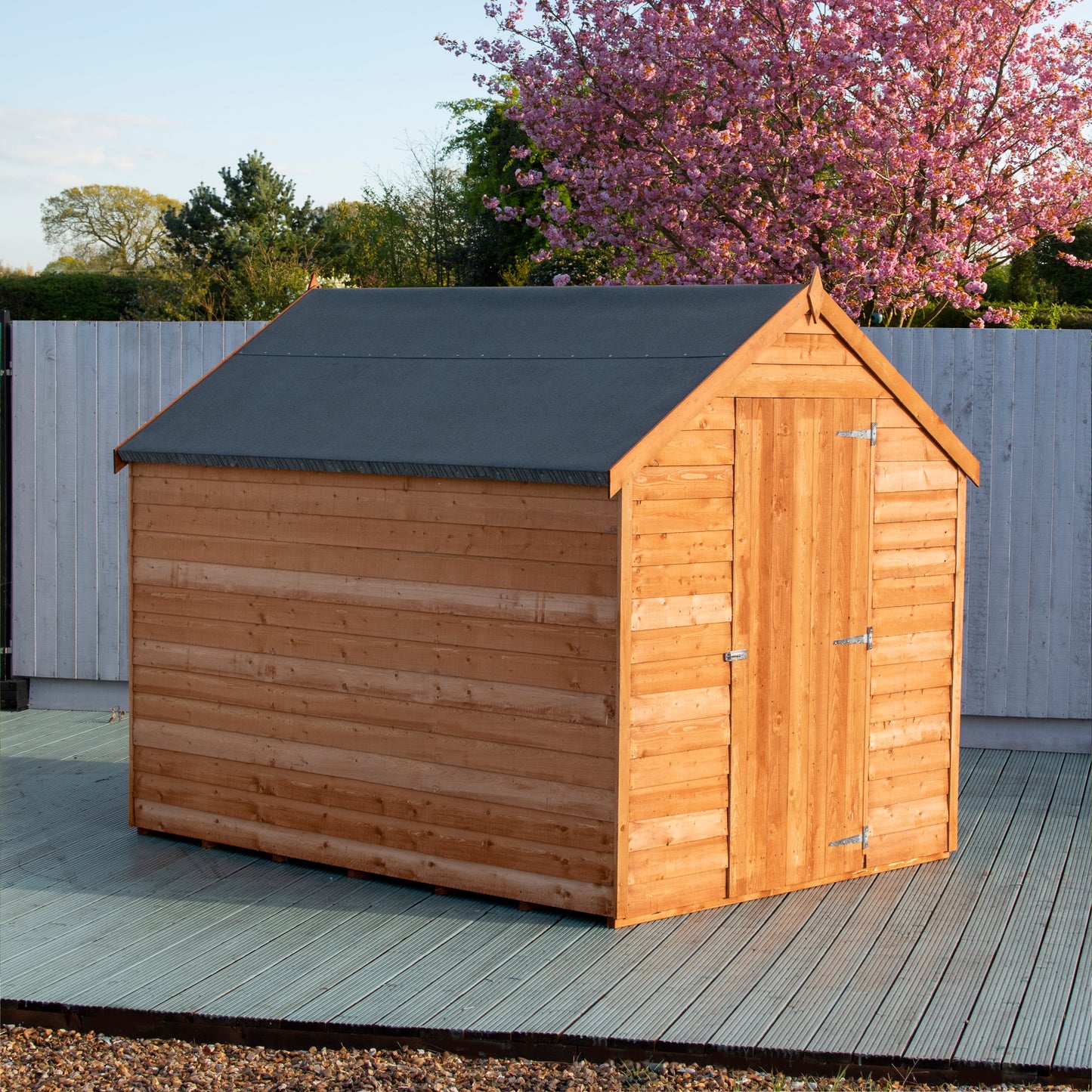 Shire Overlap 8x6 Single Door Value with Window