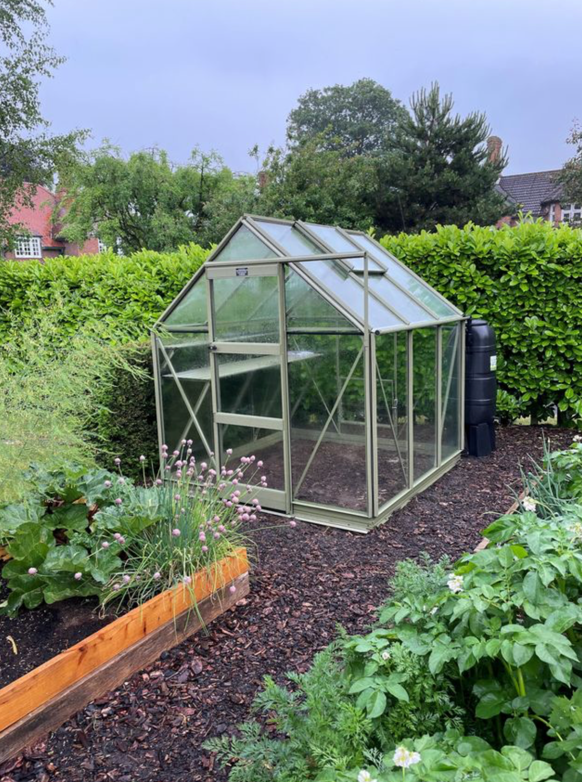 Elite Craftsman 6ft x 10ft Greenhouse