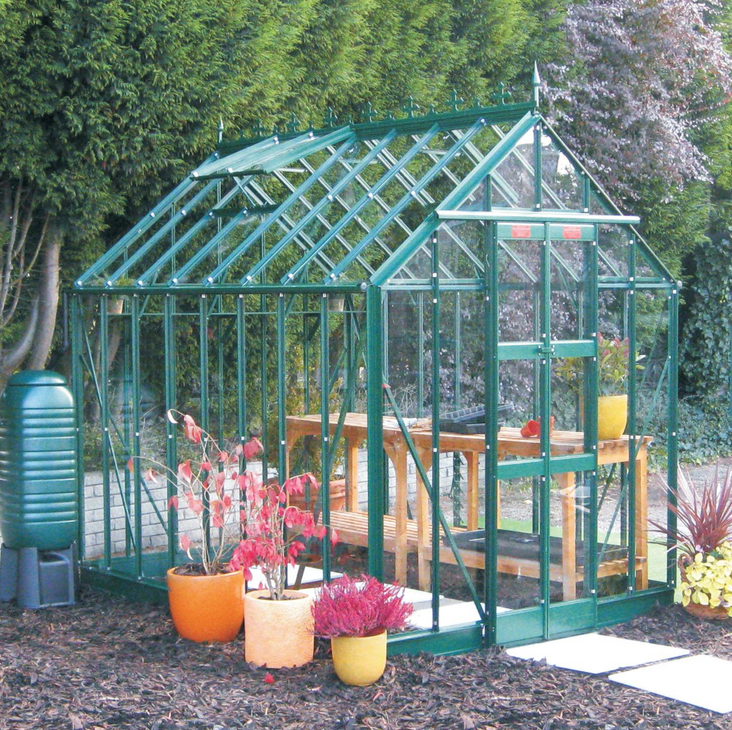 Elite Thyme 6 6ft x 10ft Greenhouse