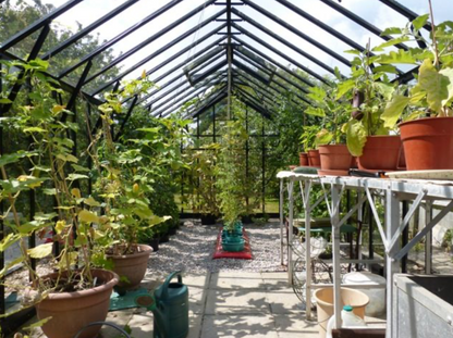 Elite Thyme 6 6ft x 10ft Greenhouse