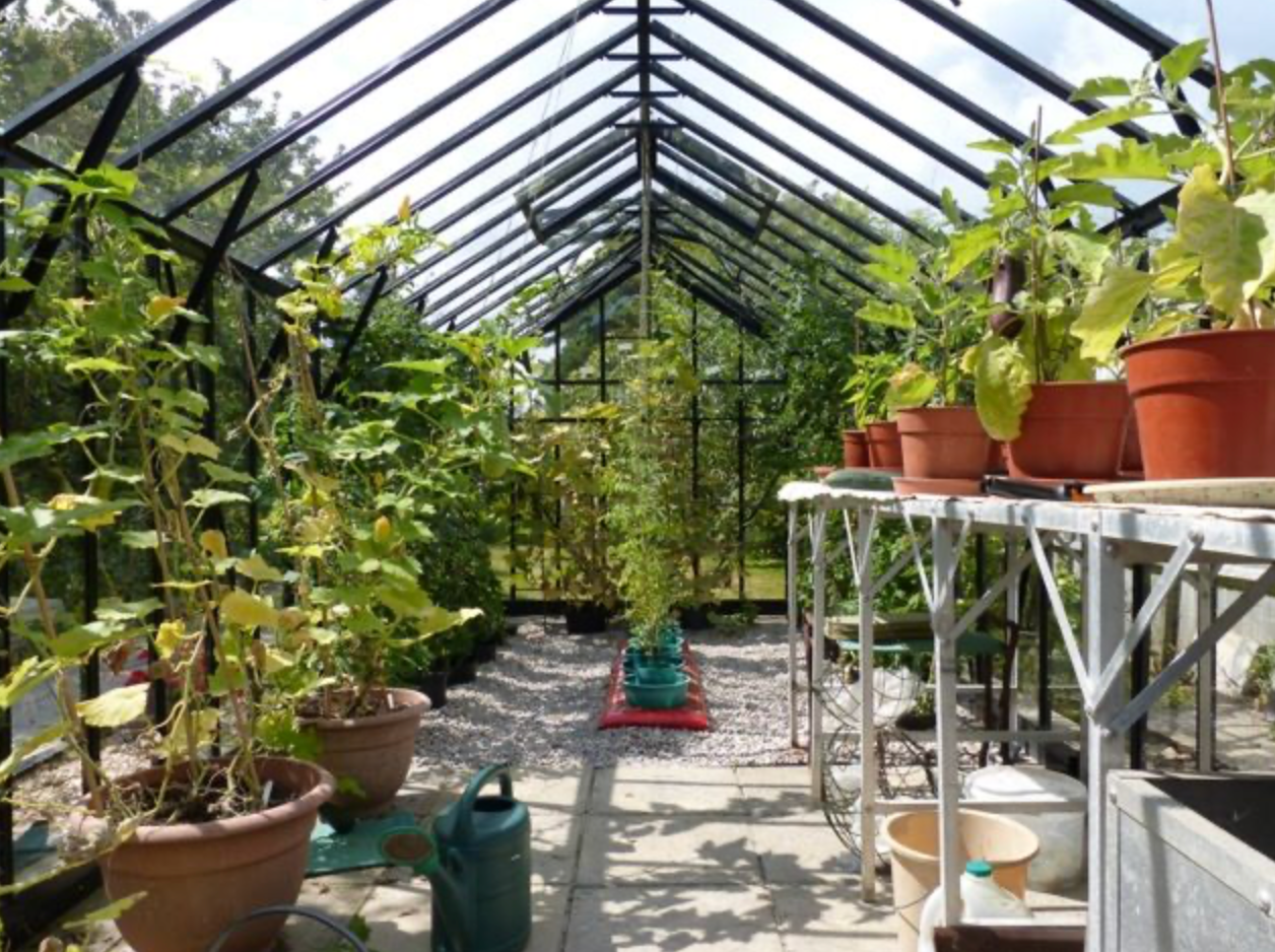 Elite Thyme 8 8ft x 10ft Greenhouse