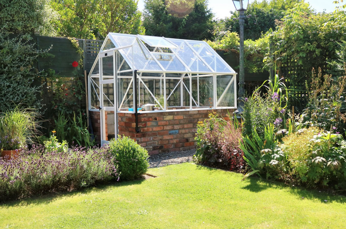 Elite Dwarf Wall 6ft x 10ft Greenhouse