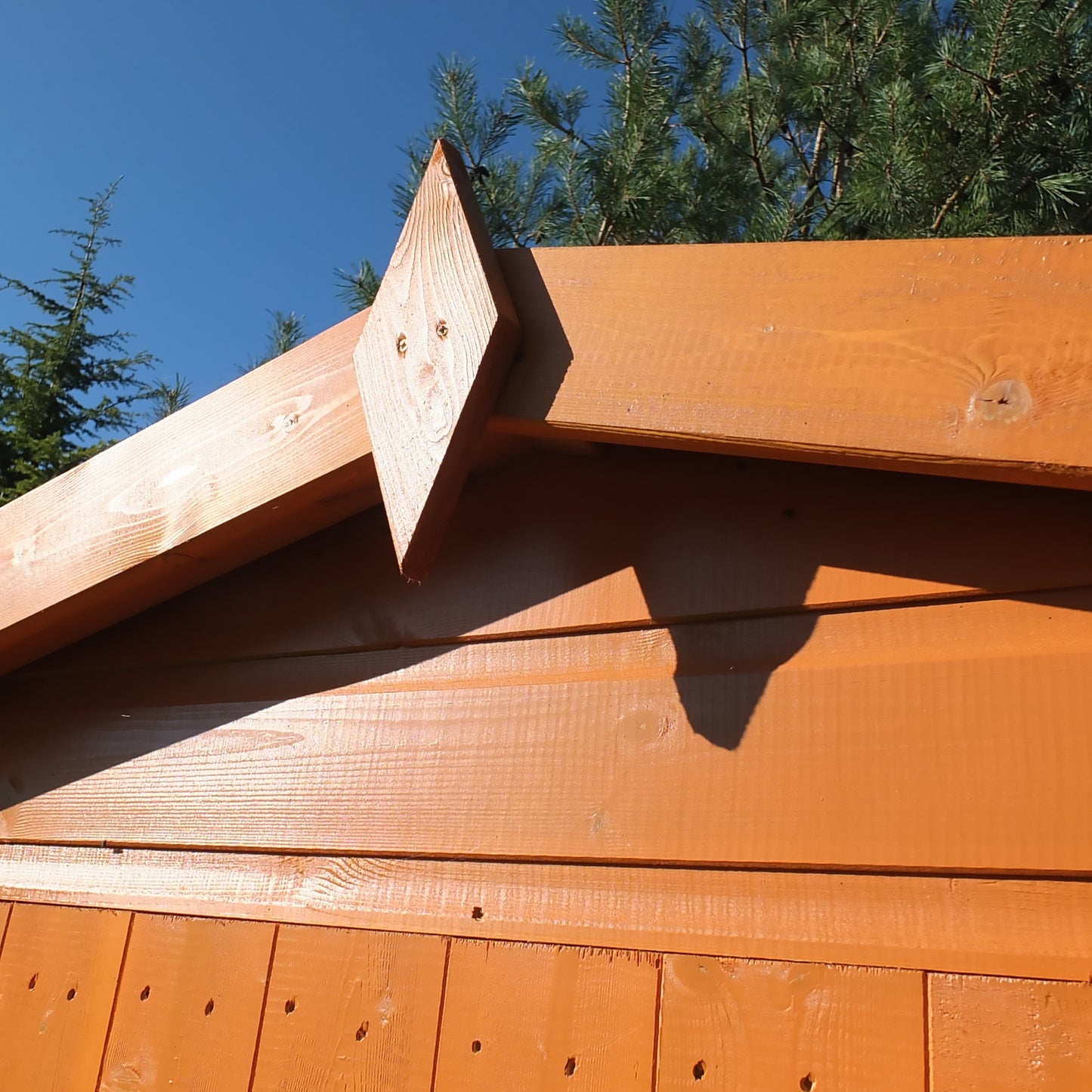 Shire Security Apex 10x10 Single Door Shiplap