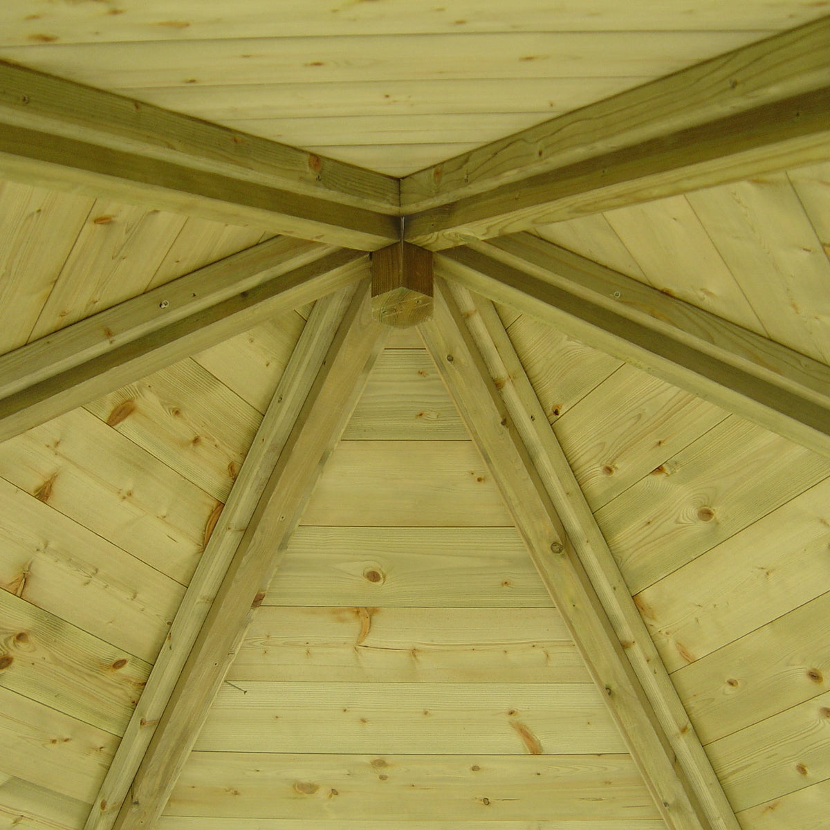 Shire Shire Arbour PT